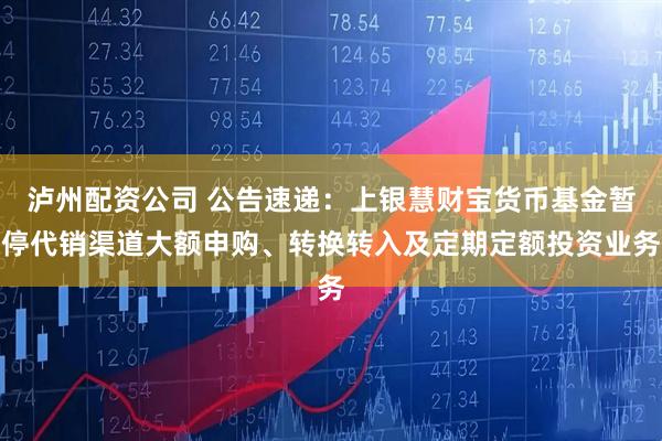 泸州配资公司 公告速递：上银慧财宝货币基金暂停代销渠道大额申购、转换转入及定期定额投资业务